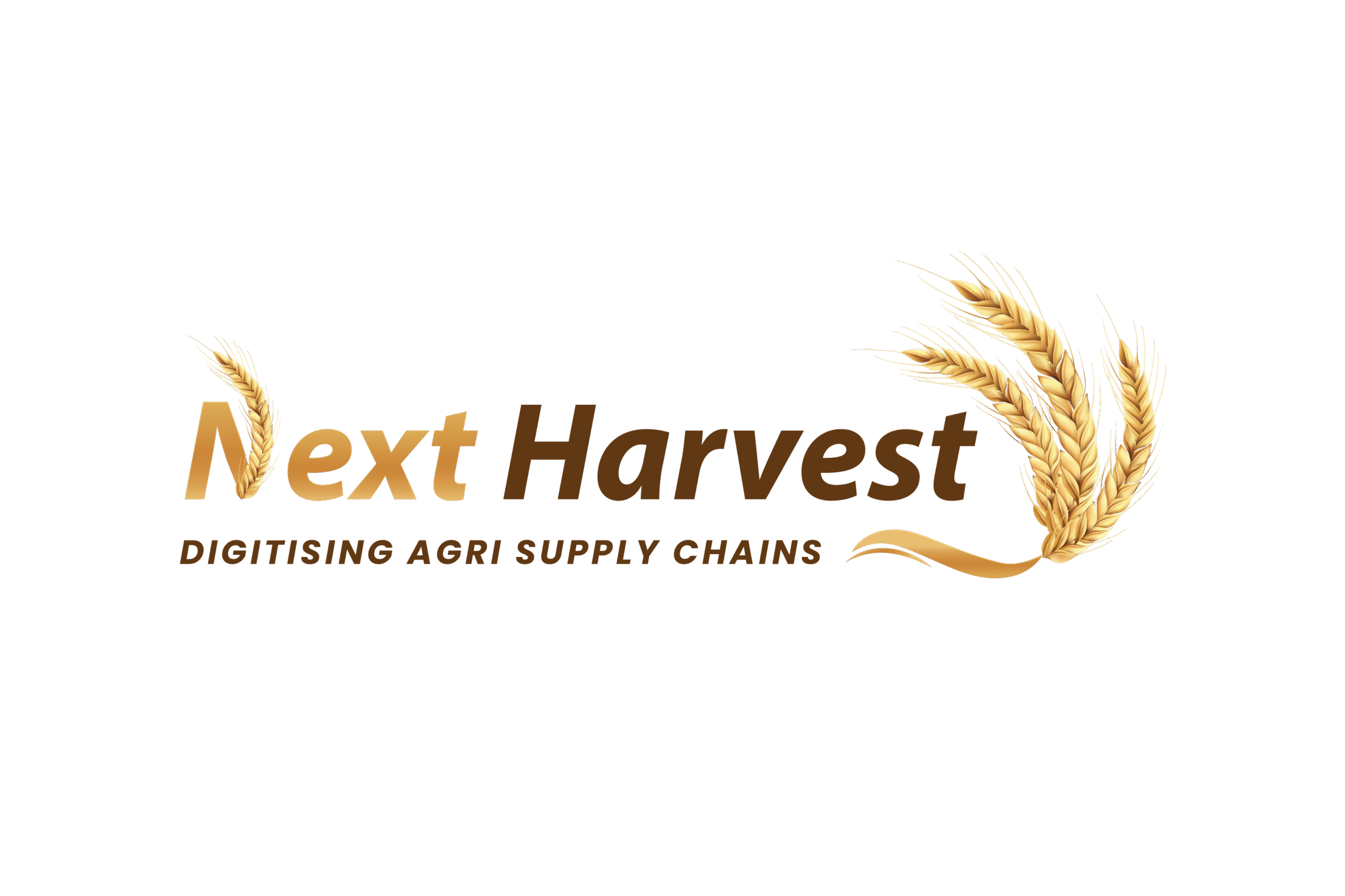 Next Harvest Africa
